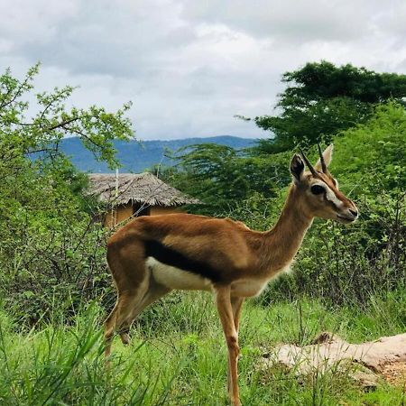 Oldonyo Orok Lodge Kajiado Exteriér fotografie