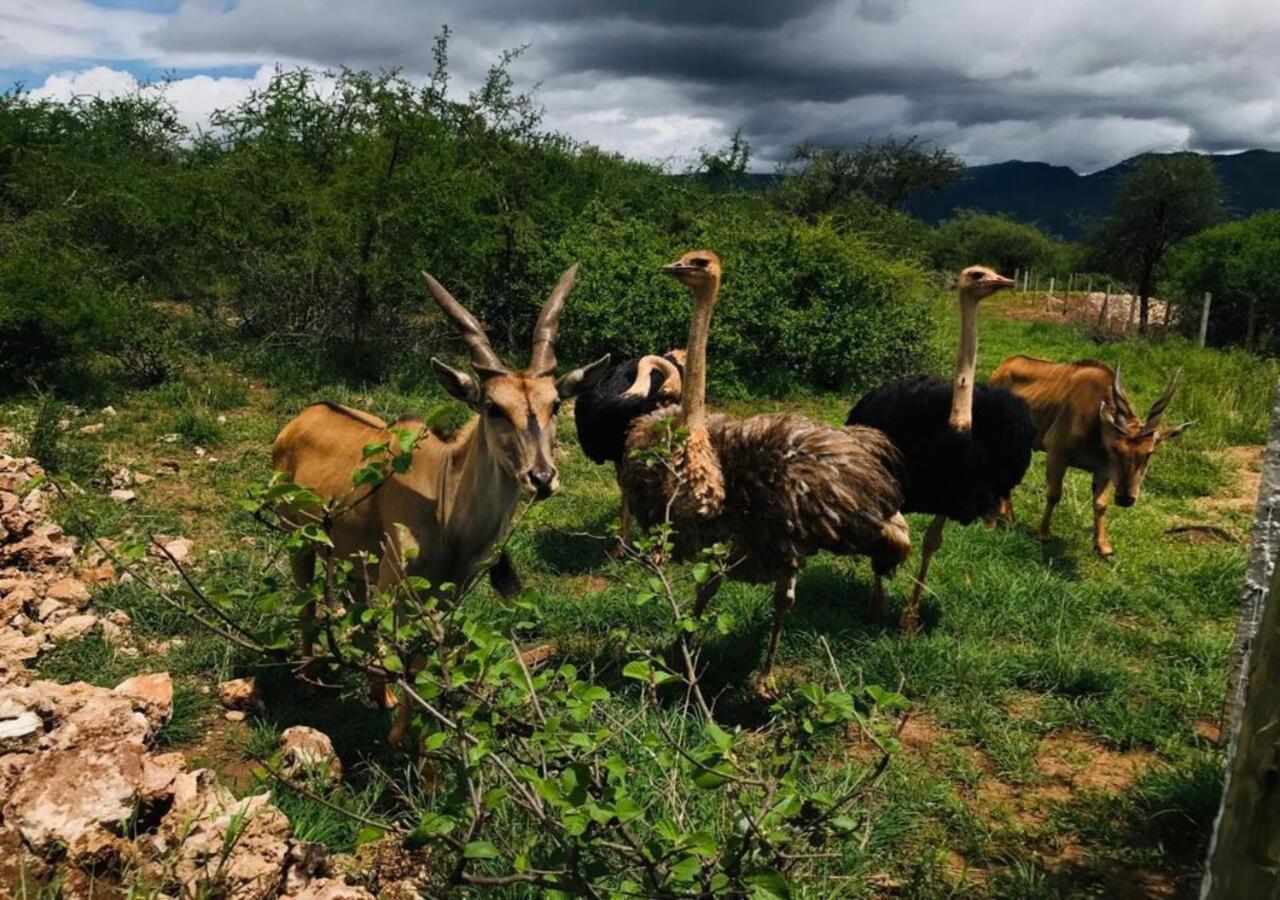 Oldonyo Orok Lodge Kajiado Exteriér fotografie