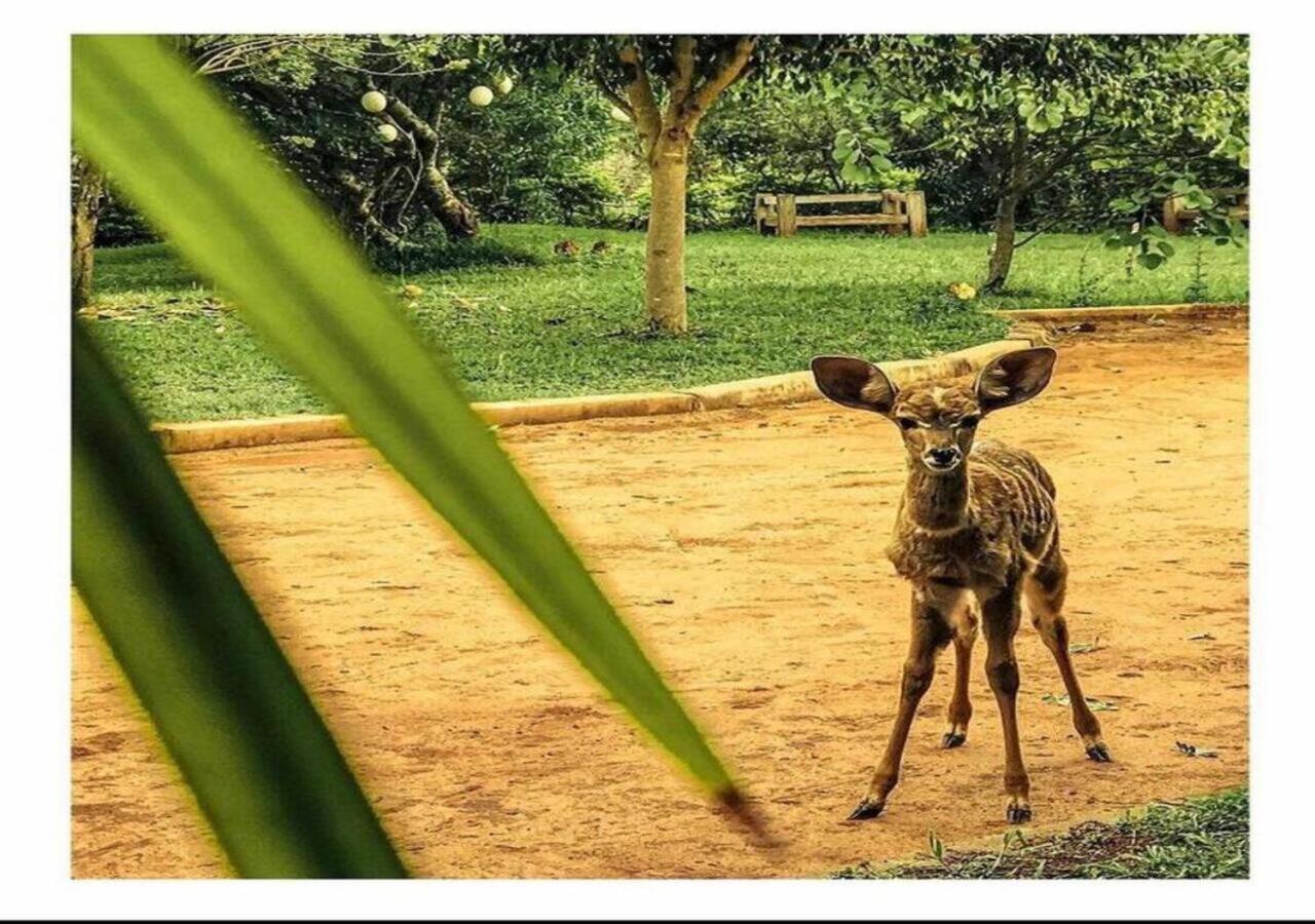 Oldonyo Orok Lodge Kajiado Exteriér fotografie