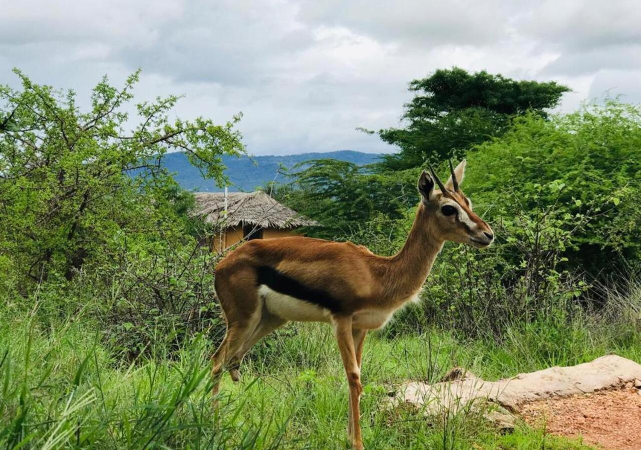 Oldonyo Orok Lodge Kajiado Exteriér fotografie
