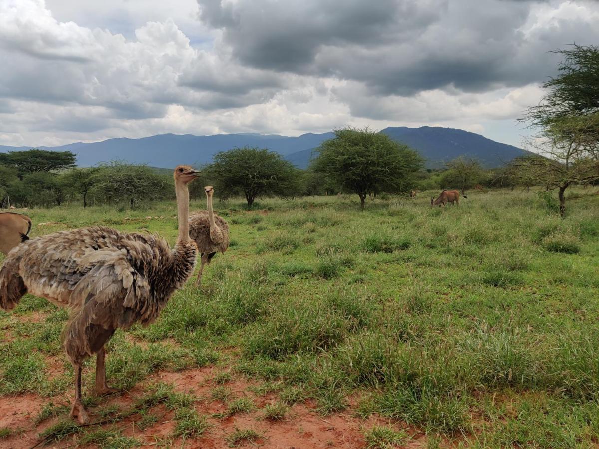Oldonyo Orok Lodge Kajiado Exteriér fotografie