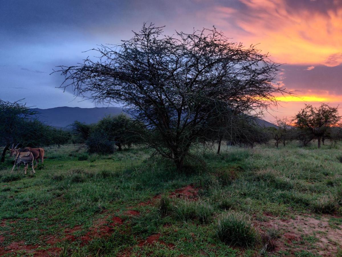 Oldonyo Orok Lodge Kajiado Exteriér fotografie